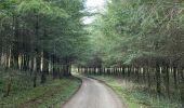 Randonnée Marche Aubange - Les étangs de Battincourt depuis Rachecourt  - Photo 9