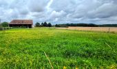 Tour Zu Fuß Villeneuve-sur-Yonne - Villeneuve Sur Yonne - Sens 32 km étape 1/3 - Photo 7