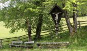 Tocht Te voet Admont - Wanderweg 77, Sonnenseitenweg - Photo 9