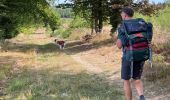Trail Walking Houffalize - Initiation bivouac J2 - Photo 11