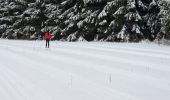 Randonnée Raquettes à neige Bullange - Manderfeld (PVDB) - Photo 9