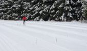 Tour Schneeschuhwandern Büllingen - Manderfeld (PVDB) - Photo 9