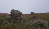 Tocht Stappen Mendionde - le mont baïgura  - Photo 11