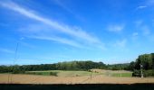 Tour Zu Fuß Chaumont-Gistoux - #181126 - Bonlez, Bois et réserve naturelle de l'Étoile *** - Photo 1