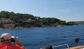 Trail Motorboat Saint-Tropez - Nalade St Tropez bateau - Photo 19