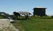 Tour Zu Fuß Kindelbrück - Geopark Steinrinne - Photo 8