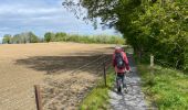 Trail Walking Chastre - Chastre hevillers - Photo 11