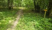 Randonnée Marche Valloire-sur-Cisse - Seillac - Circuit des Bois - Photo 9