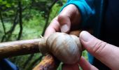 Randonnée Marche Saint-Nizier-du-Moucherotte - Le bois de la Plagne- St Nizier du Moucherotte - Photo 9