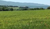 Tocht Stappen Rustrel - tour du Colorado Provencal-10-05-23 - Photo 14