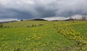 Trail Walking Le Puy-en-Velay - [01] Compostelle : du Puy-en-Velay à Saint-Privat-d'Allier - Photo 2