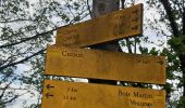 Trail Walking Chanos-Curson - Les collines de Chanos-Curson - Photo 3