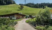 Trail On foot Willisau - Birchbüel - Honegg - Willisau - Photo 8