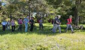 Trail Walking Bairols - BAIROLS - Photo 5
