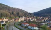 Tour Wandern Lützelburg - Sentier des Roches et vallée des éclusiers - Photo 13