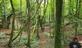 Trail Walking Pont-Saint-Vincent - Le chemin des mines - Photo 1