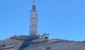 Trail Walking Beaumont-du-Ventoux - Mont Ventoux - Photo 2