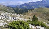 Tocht Stappen Le Dévoluy - Tête de Plate Longue - Photo 1