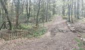 Trail Walking Brandivy - PR_56_Brandivy_AA_01_Etang-De-La-Foret_Circuit1b_20240417 - Photo 7