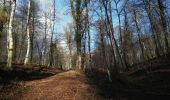 Trail Walking Saint-Léger - Tranchée des Portes  -  Marche_8kms - Photo 9