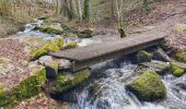 Tocht Stappen Gedinne - Balade à Malvoisin - Gedinne - Photo 7