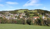 Trail On foot Gemeinde Zöbern - Zöbern - Zöberner Au - Heißenberg - Winkelbauer - Photo 4