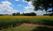 Tour Wandern Mettray - Mettray - Dolmen - 12.9km 160m 2h40 - 2020 07 26 - Photo 4