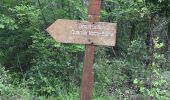 Trail Walking Roquefort-les-Pins - Roquefort - Photo 2