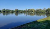 Tour Wandern Grez-Doiceau - NETHEN _ [ Grez-Doiceau ] _ Marche Fédérale _BBW _21/09/2022 - Photo 3