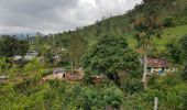 Tour Wandern Bandarawela - Sri-10 Bandarawela  - Iddalgasinne - Bambarakanda - Lyangahawela - Photo 4