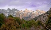 Randonnée A pied Manzanares el Real - [RV 22] Garganta de la Camorza - Photo 1