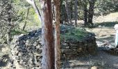 Trail Walking Laure-Minervois - Laure Minervois les Capitelles - Photo 12