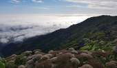Trail Walking Ilha - Achada do Teixeira - Pico Ruivo - Photo 2