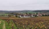 Excursión Senderismo Nogent-l'Artaud - RP51-06 Château-Thierry à Nogent-l'Artaud - Photo 12
