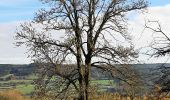 Tocht Stappen Theux - Bronrome-Croix-Ruy-la Gleize - Photo 6