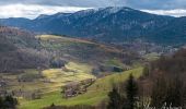 Randonnée Marche Le Ménil - Grande boucle au départ des chalets de la Feigne sur de l'Eau - Photo 4