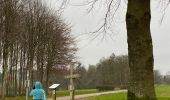 Trail Walking Ciney - Ychippe - Photo 10