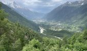 Trail Walking Chamonix-Mont-Blanc - Chamonix : Les Bois - le chapeau  - Photo 17