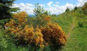 Tour Wandern Sentheim - Randonnée Pentecôte 2024 - Photo 7