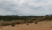 Randonnée Marche Bormes-les-Mimosas - barrage du Trapan - Photo 3