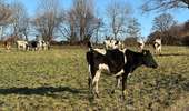 Tour Wandern Welkenrath - Welkenraedt - Eupen gare à gare 24 km - Photo 8