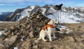 Tour Schneeschuhwandern Isola - Tête Mercière  - Photo 2