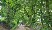 Tour Wandern Glomel - La grande tranchée - Photo 15