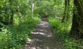 Randonnée Marche Braine-l'Alleud - BE-Braine-l'Alleud - BSI - Promenade du Seigneur Isaac - Photo 6