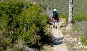 Tour Wandern Duilhac-sous-Peyrepertuse - 7eme étape sentier cathare  - Photo 6