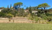 Tour Rennrad Saint-Hippolyte-du-Fort - St hippolyte Sumène  - Photo 3