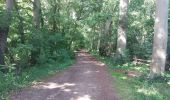 Tocht Stappen Riemst - montagne saint Pierre sud par les petits chemins - Photo 6