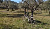 Excursión Bici de carretera Cabasse - Vélo:  Cabas, le Luc, le Cannet-des-Maures, Le Thoronet et Carcès - Photo 1