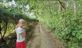 Tour Wandern Heers - Wikiloc Hornebos  (PVDB) - Photo 17