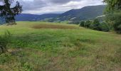 Tocht Stappen Sainte-Marie-aux-Mines - Bagenelle  - Photo 2